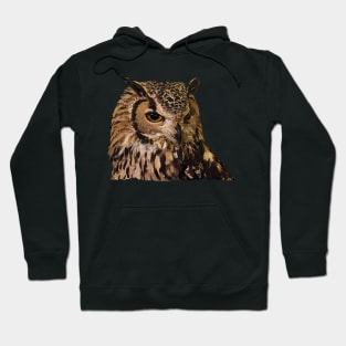 Royal Owl Hoodie